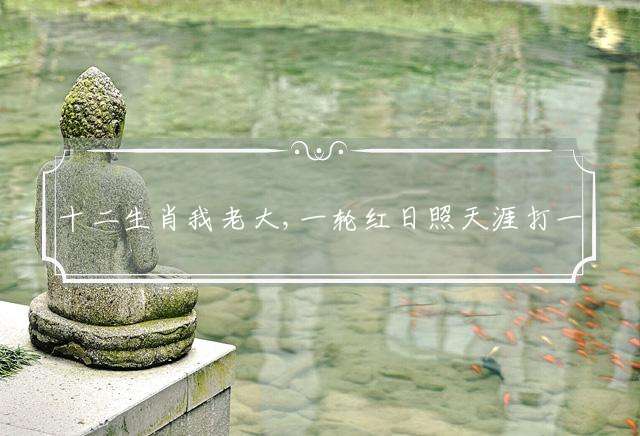 十二生肖我老大,一轮红日照天涯打一最佳生肖，详细解释落实