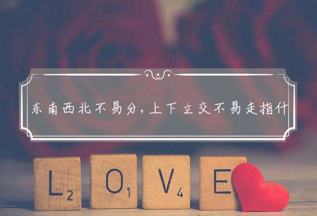 东南西北不易分,上下立交不易走指什么生肖，精准解析落实释义