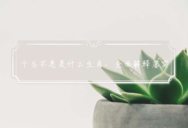 干戈不息是什么生肖，全面解释落实