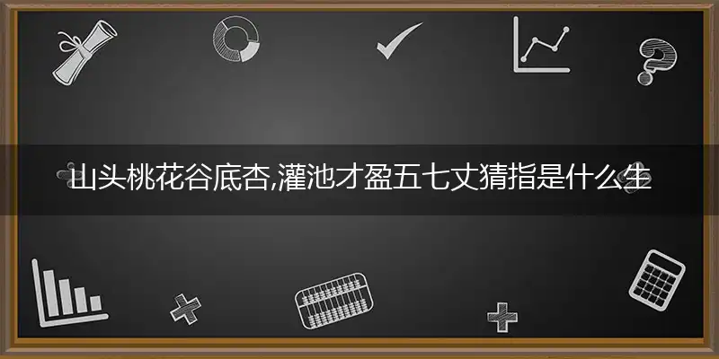 山头桃花谷底杏,灌池才盈五七丈