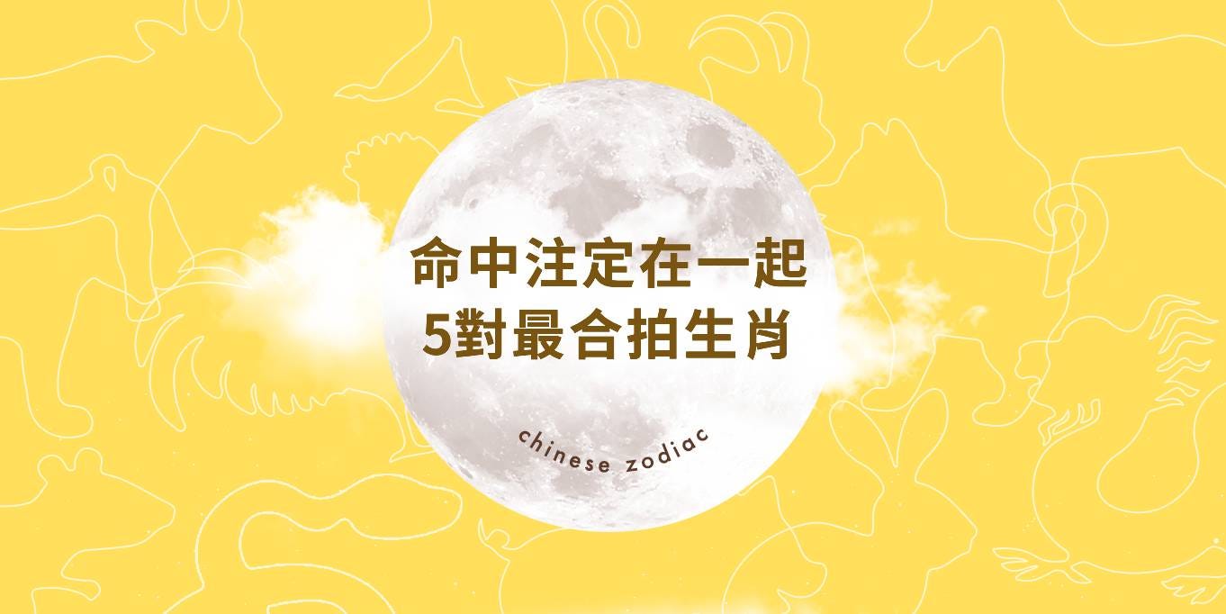 一爱上就深陷的生肖配对！命中注定要在一起的生肖组合 TOP5！