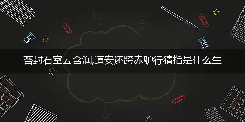 苔封石室云含润,道安还跨赤驴行猜指是什么生肖，完美解答谜底释义落实