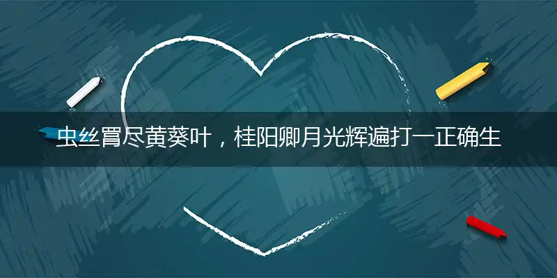 虫丝罥尽黄葵叶，桂阳卿月光辉遍打一正确生肖，最新诗意解释落实